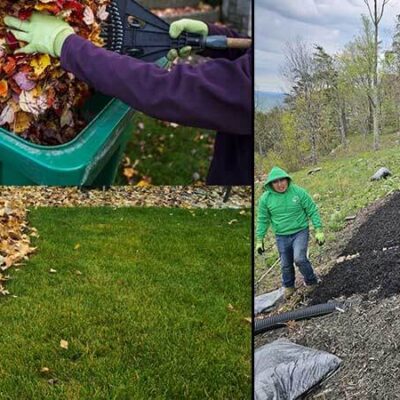 5 Lawn Care Tips to Keep Your Grass Green All Year