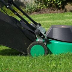 GRASS CUTTING