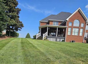 GRASS CUTTING