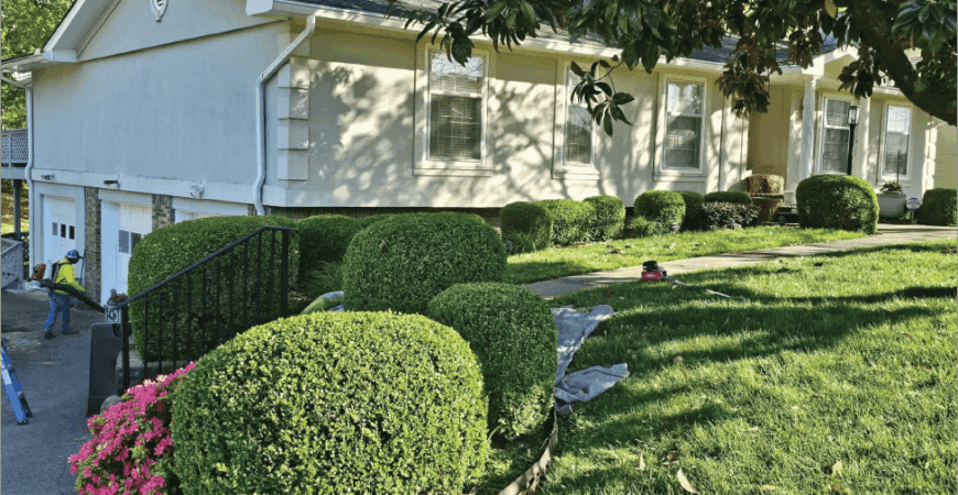 GRASS CUTTING