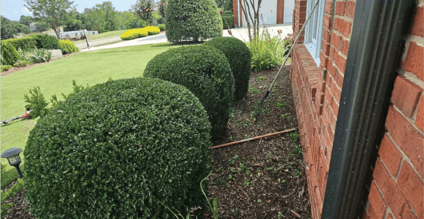 GRASS CUTTING