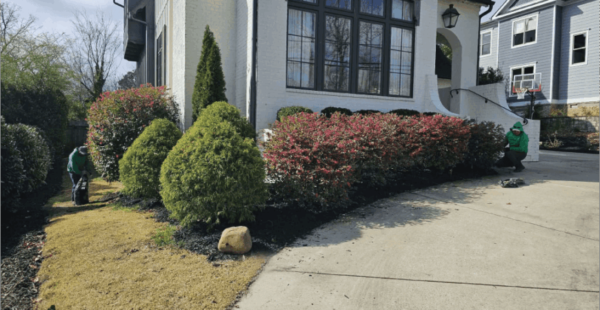 GRASS CUTTING
